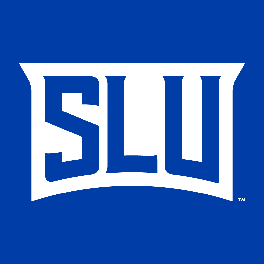 Saint Louis Billikens 2015-Pres Wordmark Logo v2 t shirts iron on transfers